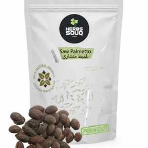 Saw-Palmetto-البلميط-المنشاري