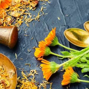 فوائد أزهار الأذريون المجففة